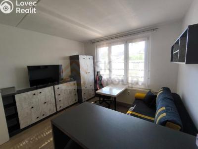 Pronájem bytu 1+KK Karlovy Vary č. 2