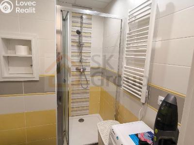 Pronájem bytu 1+KK Karlovy Vary č. 4