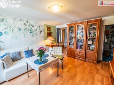 Prodej rodinného domu Ústí nad Labem, Hynaisova č. 6