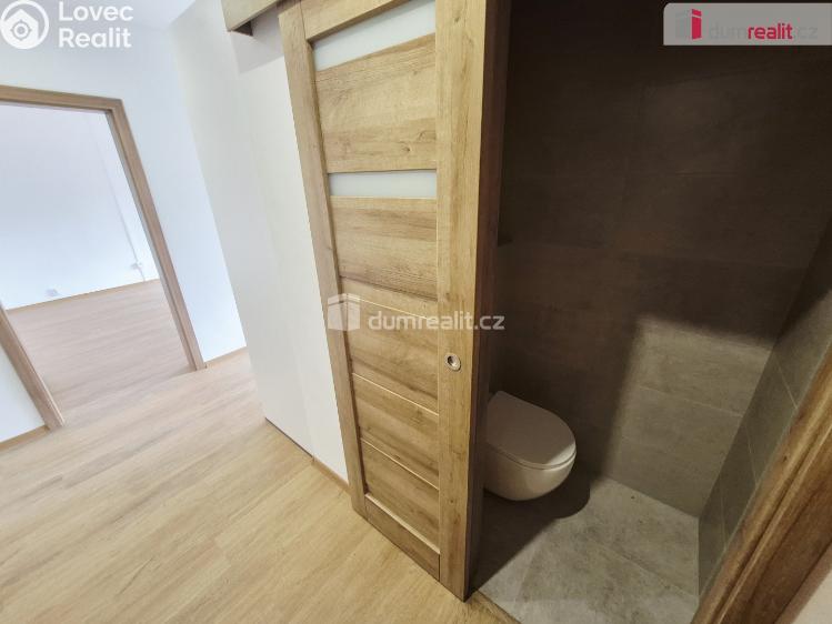 Pronájem bytu 2+1 Roudnice nad Labem, Neklanova č. 7