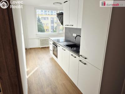 Pronájem bytu 2+1 Roudnice nad Labem, Neklanova č. 1
