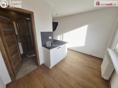 Pronájem bytu 2+1 Roudnice nad Labem, Neklanova č. 3