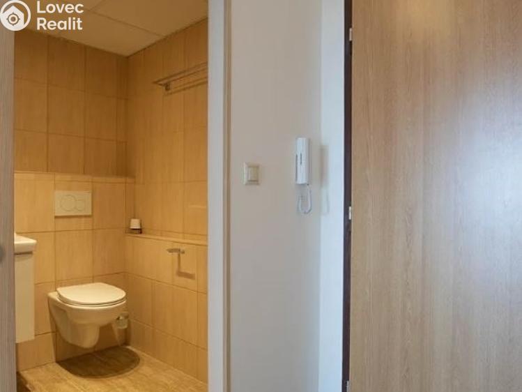 Pronájem bytu 1+KK Praha, Božetická č. 5