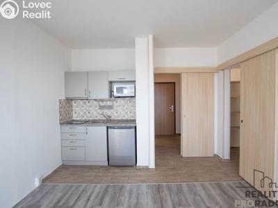 Rent apartment 1+KK Praha, Božetická č. 1