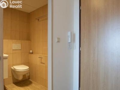 Rent apartment 1+KK Praha, Božetická č. 5