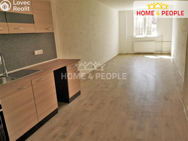 Pronájem bytu 1+KK Chodov, Školní č. 2