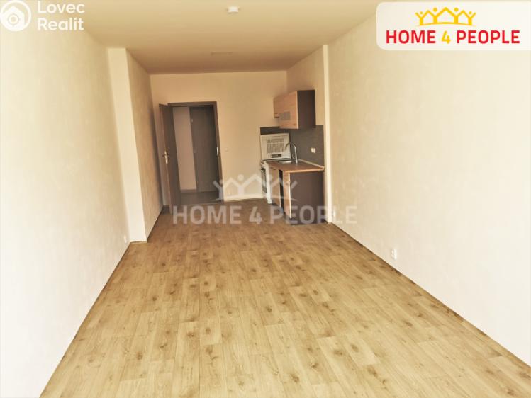 Pronájem bytu 1+KK Chodov, Školní č. 6