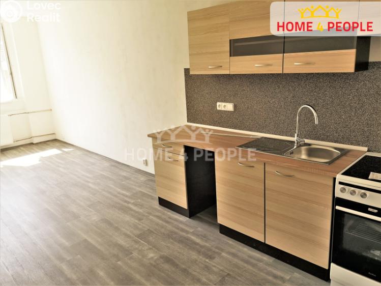 Pronájem bytu 1+KK Chodov, Školní č. 12