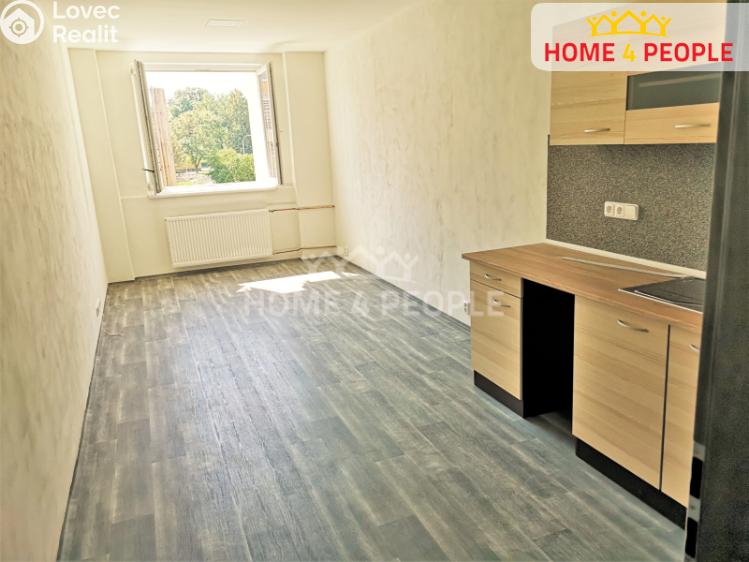 Pronájem bytu 1+KK Chodov, Školní č. 13