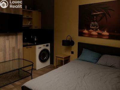 Rent apartment 1+KK Praha, Hartigova č. 1