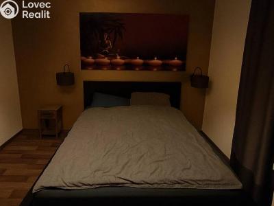 Rent apartment 1+KK Praha, Hartigova č. 2