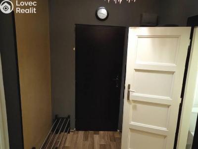 Rent apartment 1+KK Praha, Hartigova č. 6