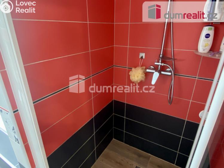 Pronájem bytu 4+KK Mariánské Lázně, třída Vítězství č. 53
