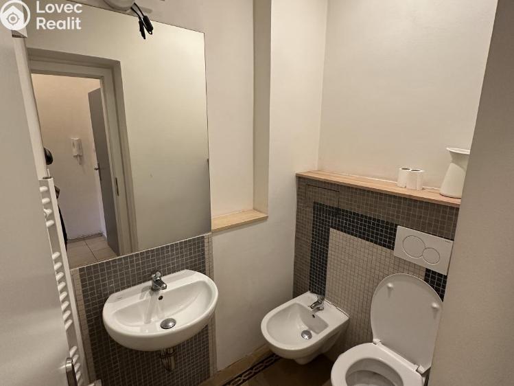 Rent apartment 2+1 Praha, Bořivojova č. 11