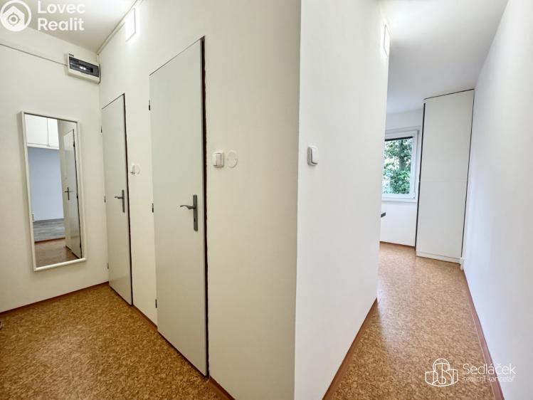 Pronájem bytu 1+1 Karlovy Vary, Krymská č. 10