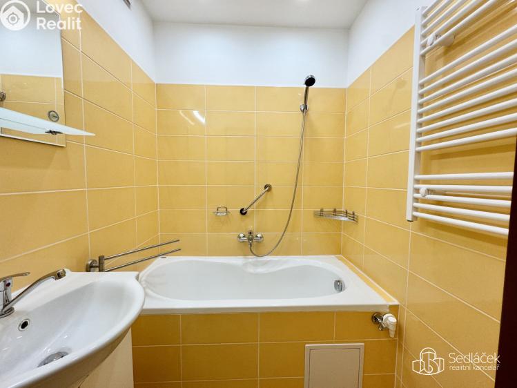 Pronájem bytu 1+1 Karlovy Vary, Krymská č. 4