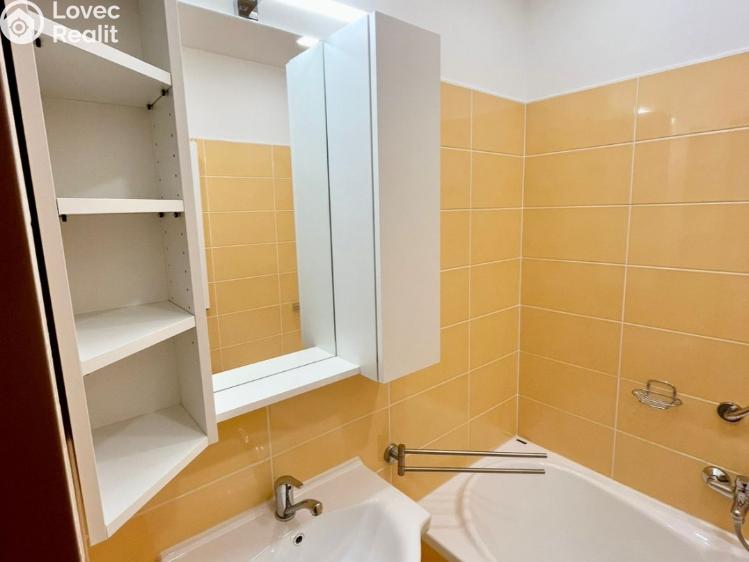 Pronájem bytu 1+1 Karlovy Vary, Krymská č. 10