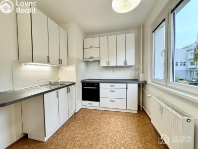 Rent apartment 1+1 Karlovy Vary, Krymská č. 4