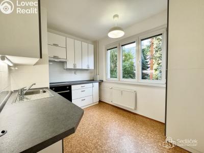 Rent apartment 1+1 Karlovy Vary, Krymská č. 5