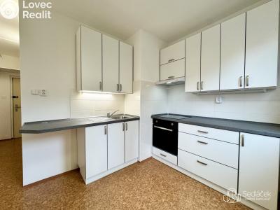 Rent apartment 1+1 Karlovy Vary, Krymská č. 6