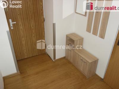 Pronájem bytu 1+1 Břeclav, Riegrova č. 5