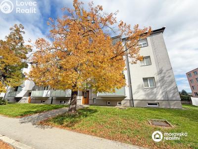 Pronájem bytu 1+1 Moravský Krumlov, Břízová 266 č. 1
