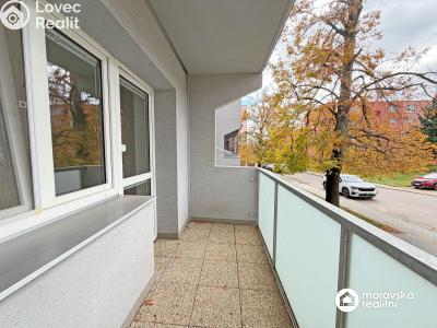 Pronájem bytu 1+1 Moravský Krumlov, Břízová 266 č. 2