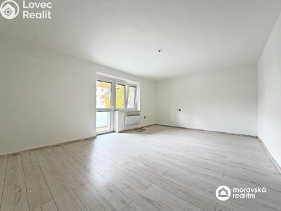 Pronájem bytu 1+1 Moravský Krumlov, Břízová 266 č. 3