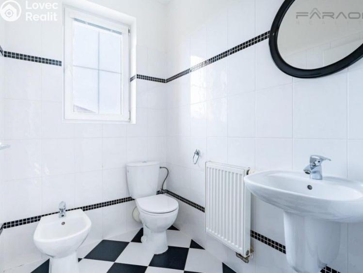Pronájem rodinného domu Průhonice č. 13