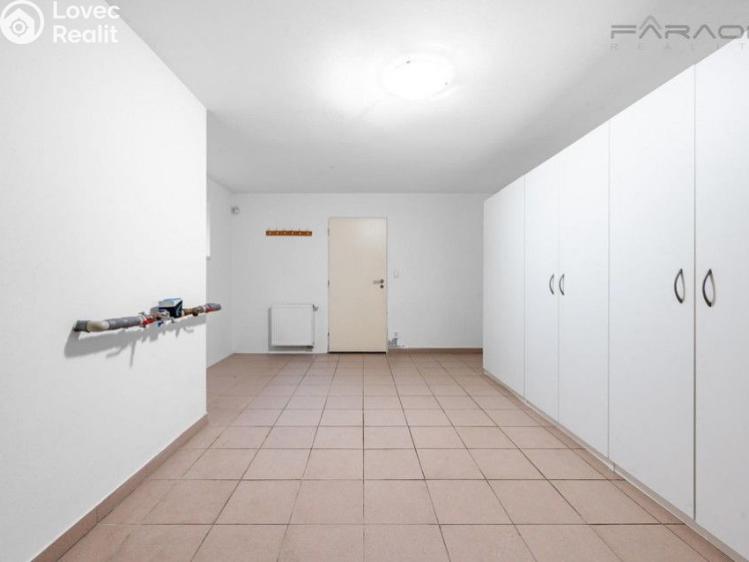 Pronájem rodinného domu Průhonice č. 21