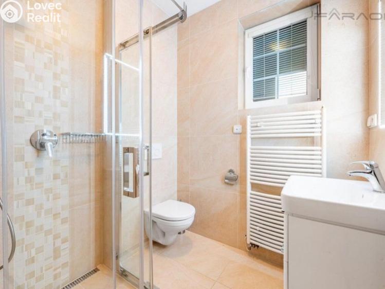 Pronájem rodinného domu Průhonice č. 20