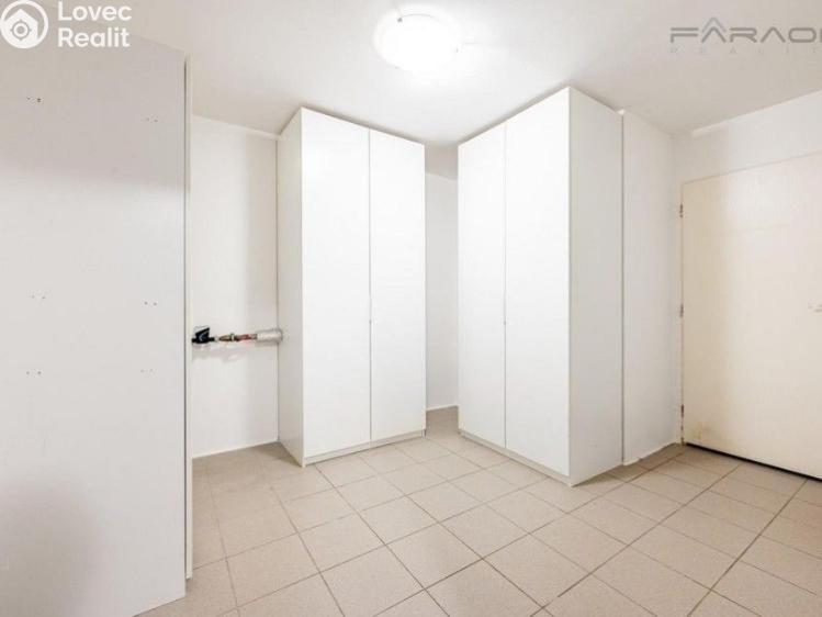 Pronájem rodinného domu Průhonice č. 21