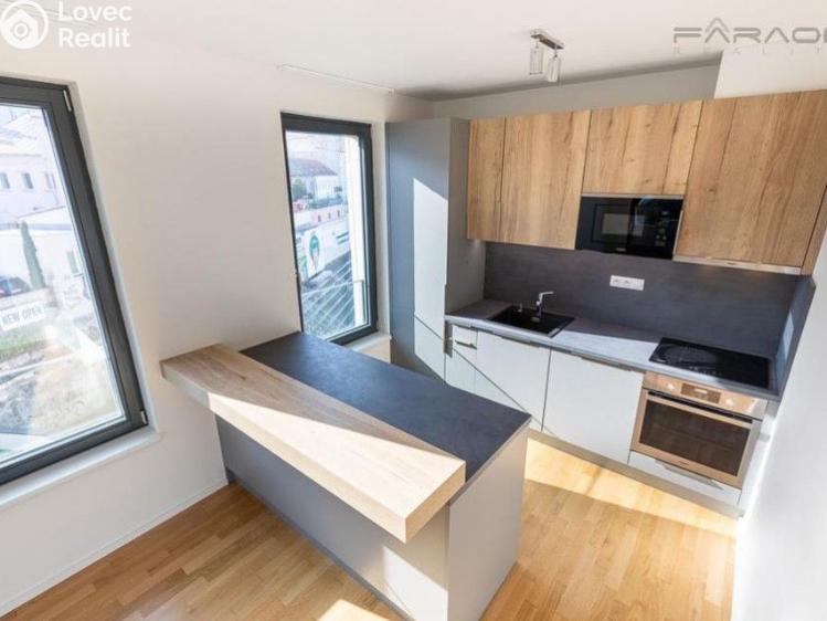 Pronájem bytu 3+KK Praha, U Viktorie č. 13