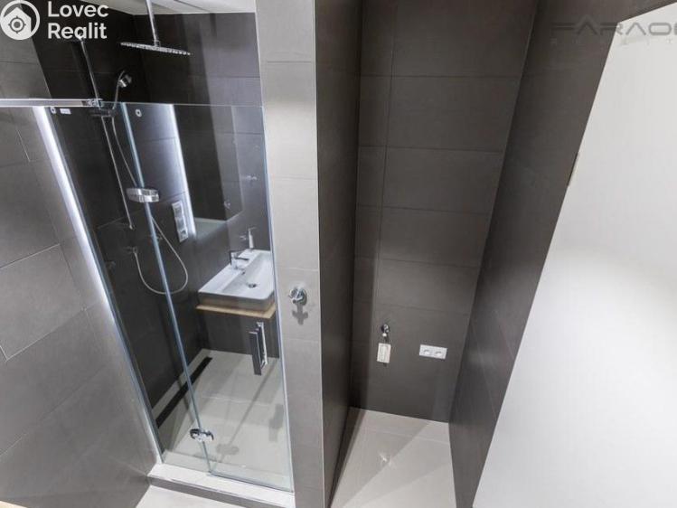 Pronájem bytu 3+KK Praha, U Viktorie č. 8