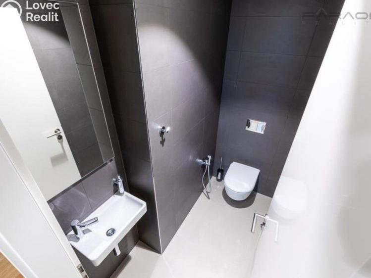 Pronájem bytu 3+KK Praha, U Viktorie č. 9