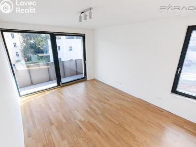 Rent apartment 3+KK Praha, U Viktorie č. 1