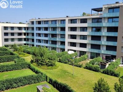 Rent apartment 3+KK Praha, U Viktorie č. 2