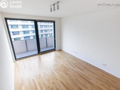 Rent apartment 3+KK Praha, U Viktorie č. 3