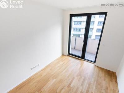 Rent apartment 3+KK Praha, U Viktorie č. 4