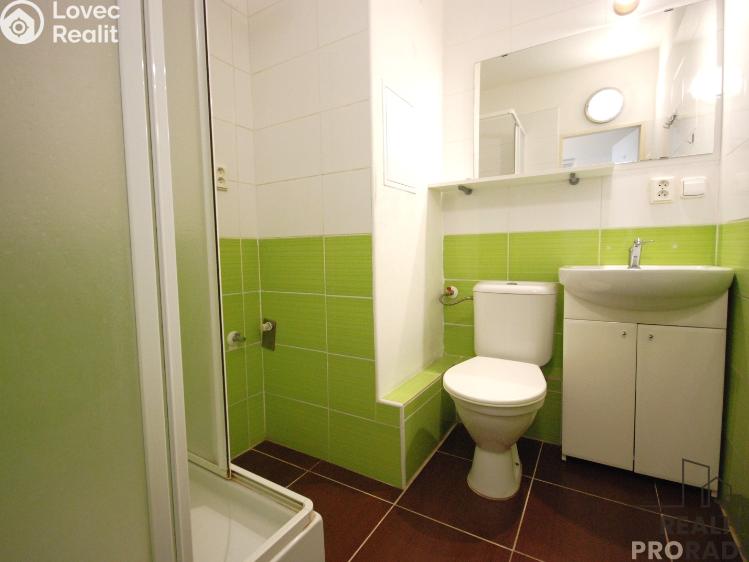 Pronájem bytu 1+1 Břeclav, U Splavu č. 3
