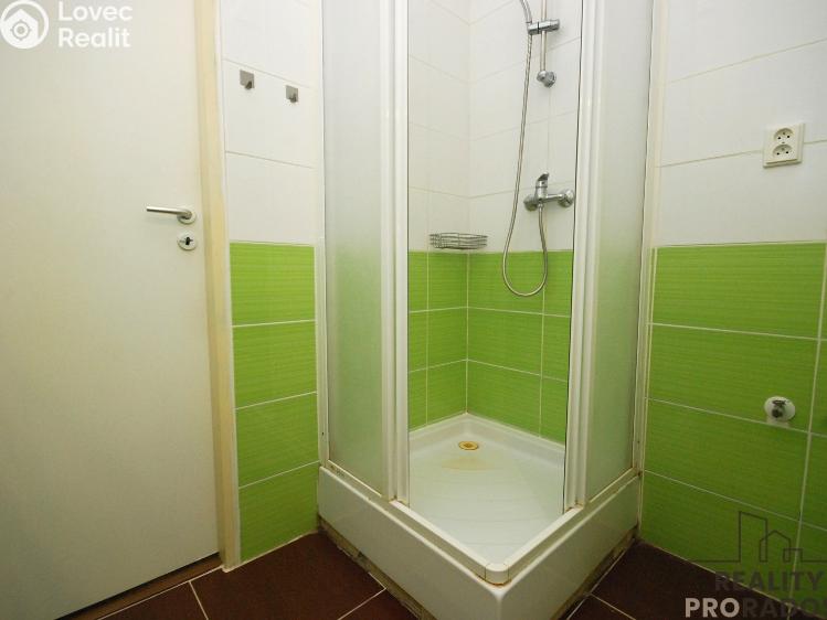 Pronájem bytu 1+1 Břeclav, U Splavu č. 4