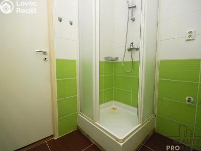 Pronájem bytu 1+1 Břeclav, U Splavu č. 4