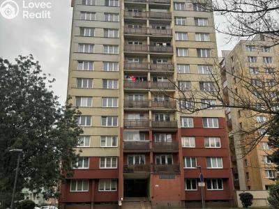 Sale apartment 1+KK Bohumín, Svat. Čecha č. 1