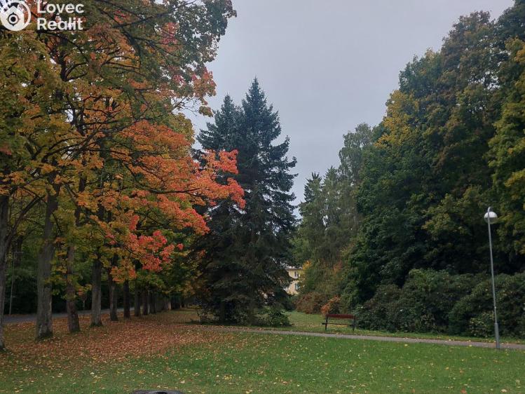 Pronájem bytu 3+KK Konstantinovy Lázně, Plzeňská č. 19