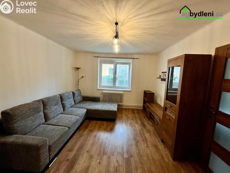 Rent apartment 2+1 Plzeň č. 1