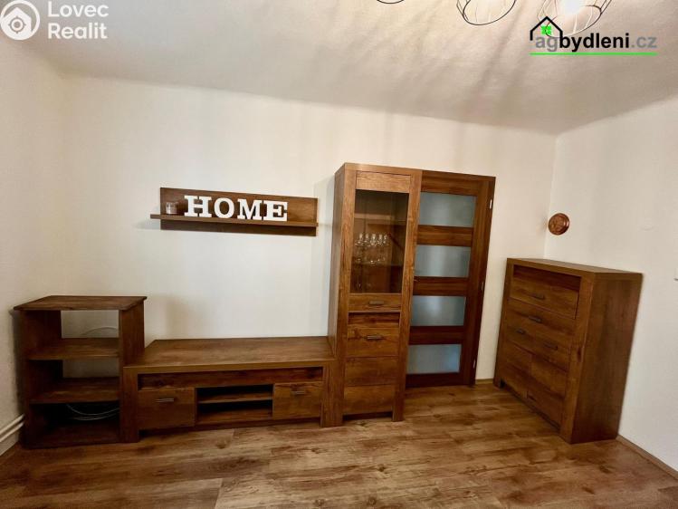 Rent apartment 2+1 Plzeň č. 2