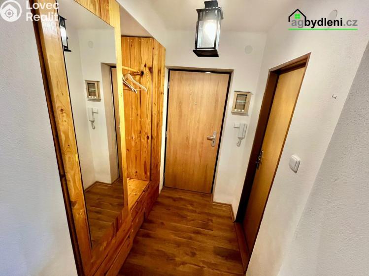 Rent apartment 2+1 Plzeň č. 5
