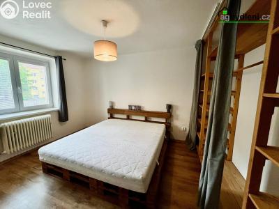 Pronájem bytu 2+1 Plzeň č. 3