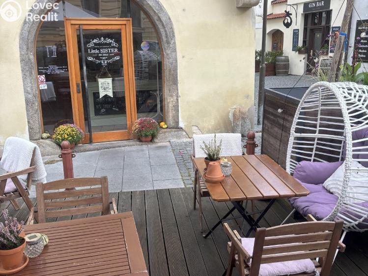 Pronájem restaurace České Budějovice, Panská č. 20