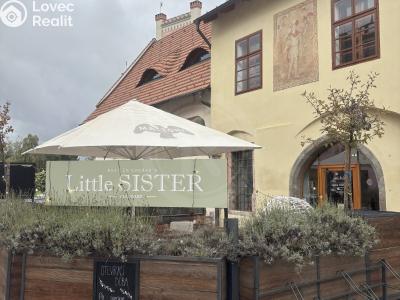 Rent restaurant České Budějovice, Panská č. 4